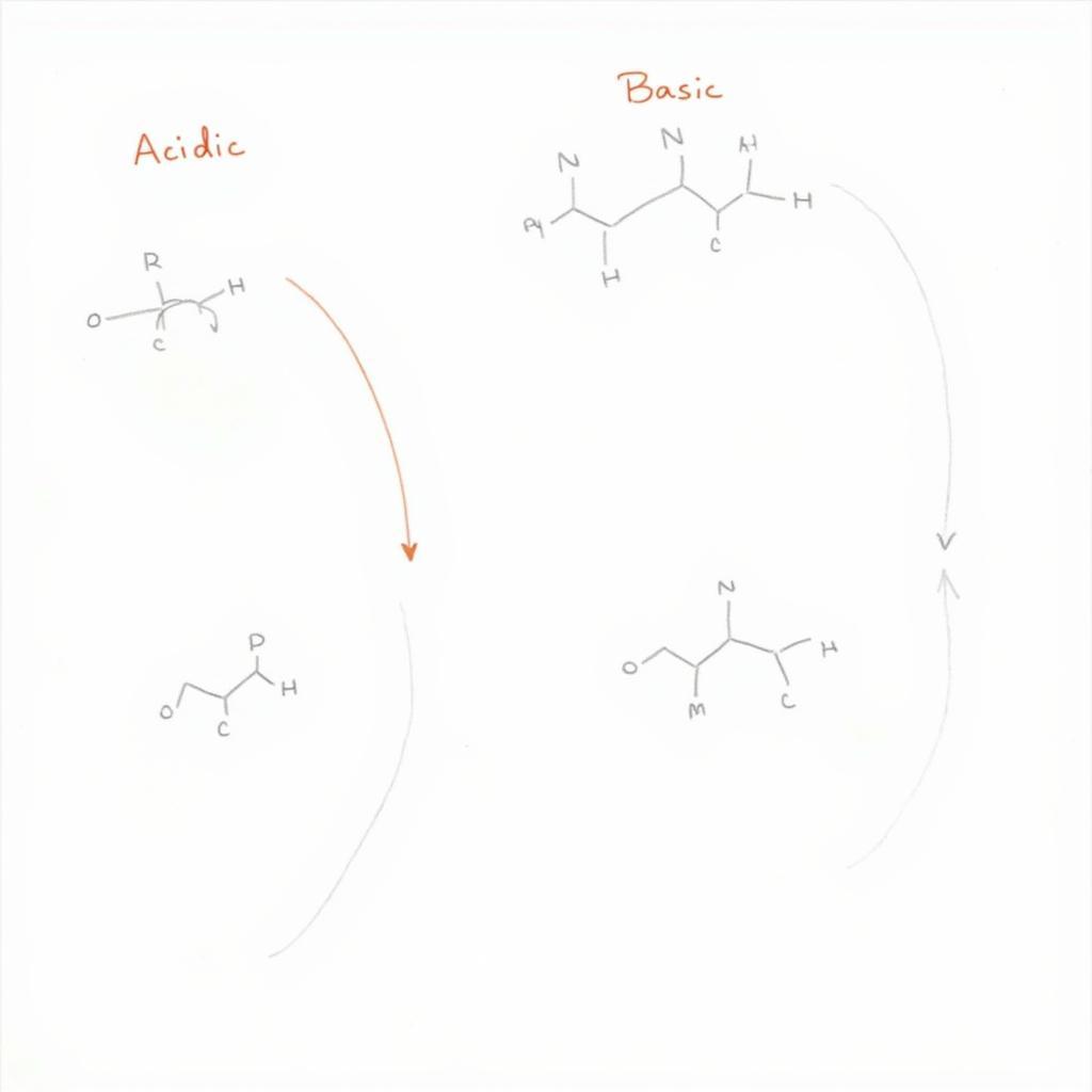 Phản ứng Thủy phân Este