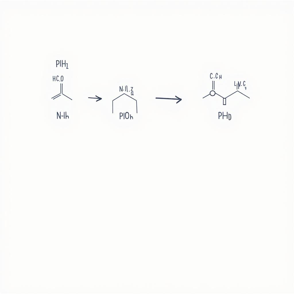 Sơ Đồ Phản Ứng Peptit