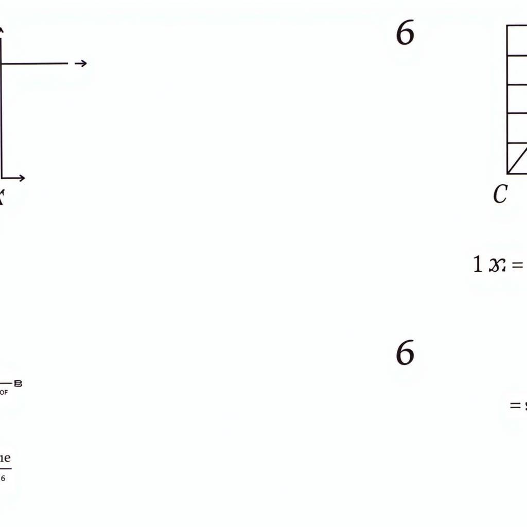 Bài tập hàm số cơ bản