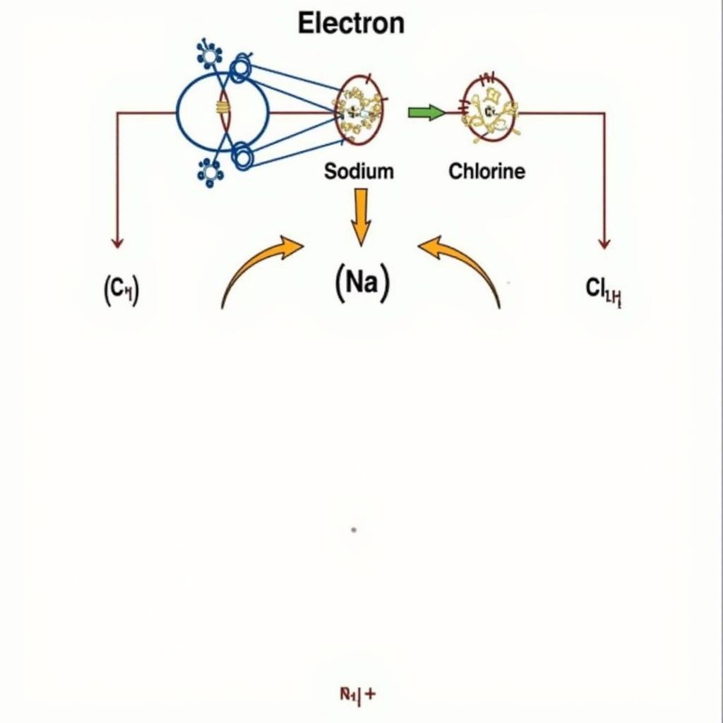 Cấu hình electron và liên kết ion