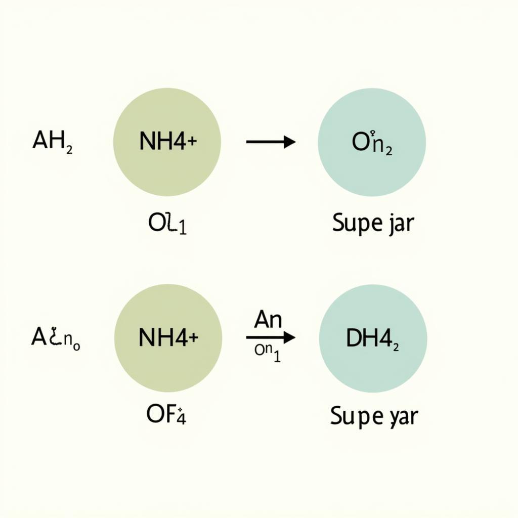 Phản ứng Axit-Bazơ của Ion Amoni