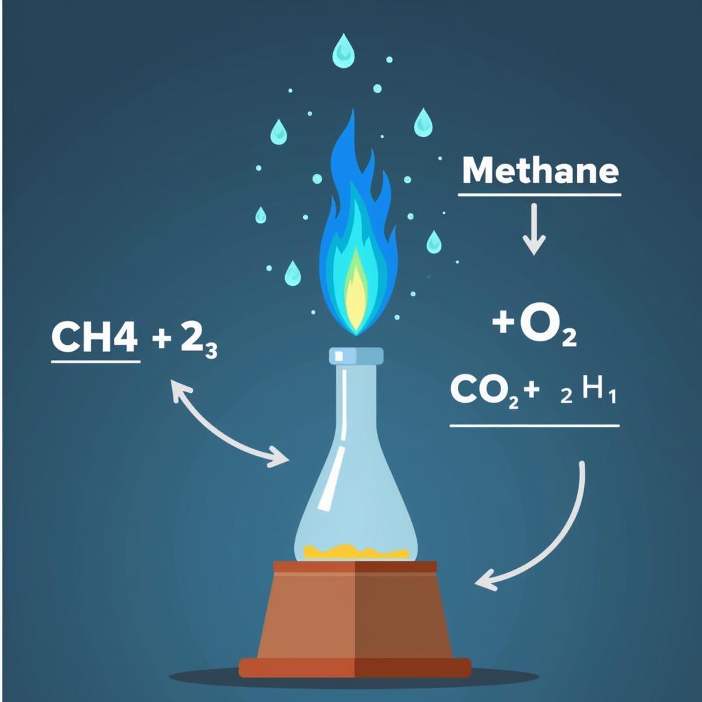 Hình ảnh minh họa phản ứng cháy của metan