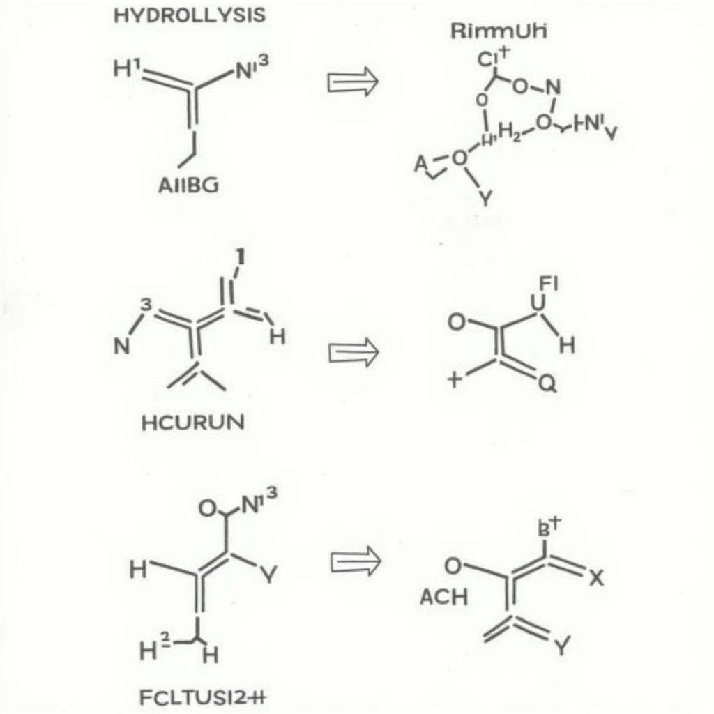 Phản ứng của Xenlulozơ