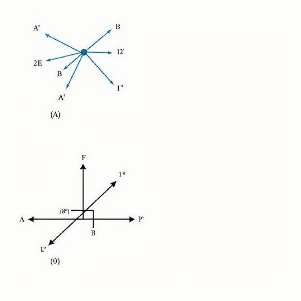 Phép Biến Hình và Phép Dời Hình