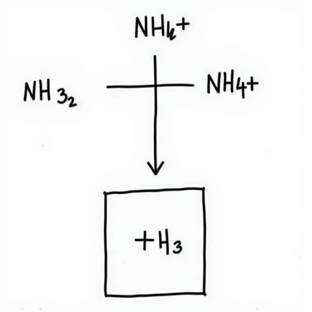 Tính tải ion amoni (NH4+)