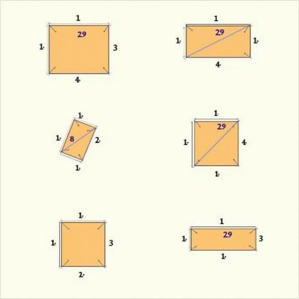 Tứ giác hình học lớp 8