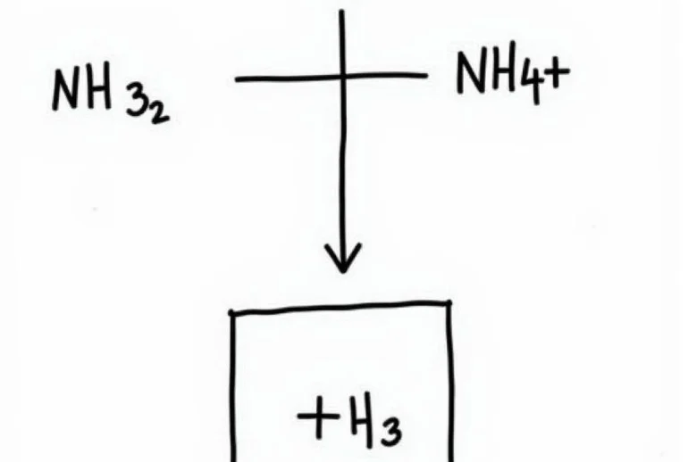 Tính tải ion amoni (NH4+)